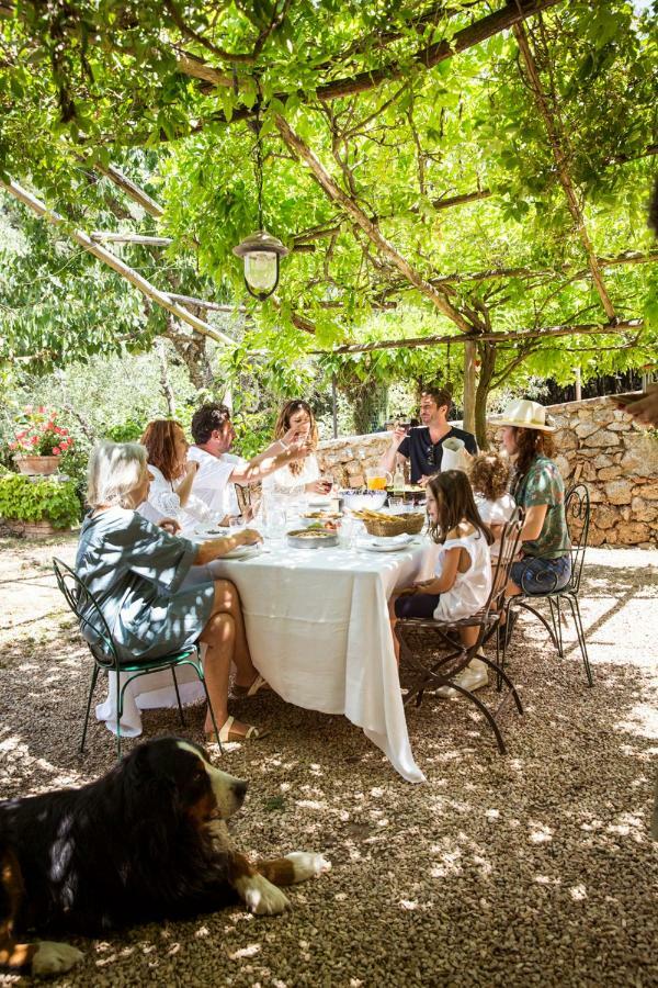 Villa Agriturismo Biologico Ebbio à Monteriggioni Extérieur photo